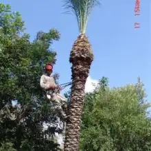 Photo חניאלקורן 2 